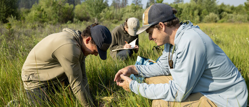 Soil Sample Collecting 