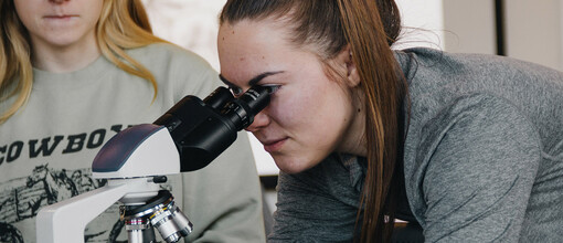 Student in a lab