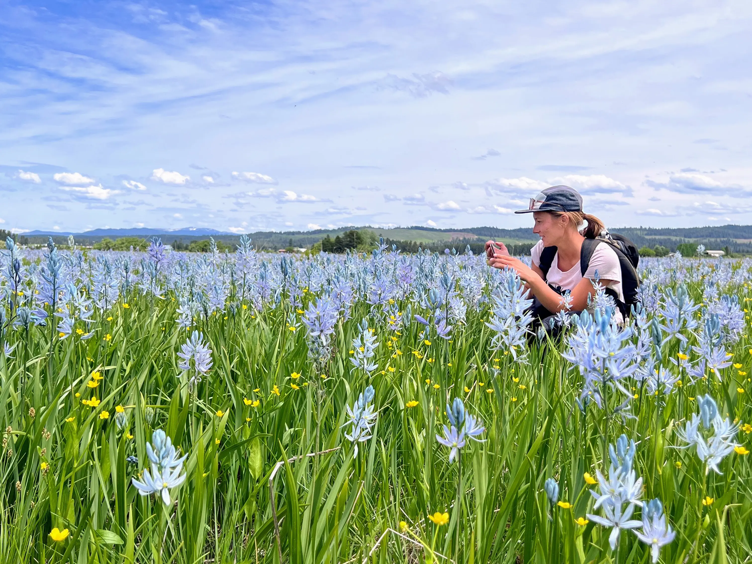 An ecologist in a field of camas flowers