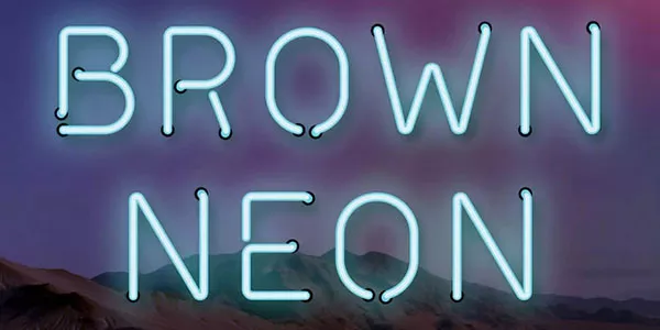 Brown Neon Book Cover