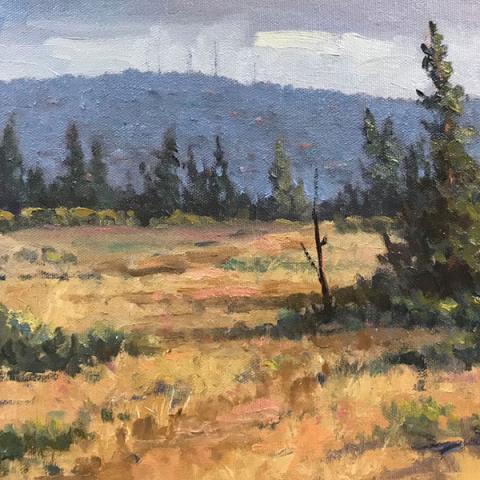 "Looking Out toward Awbrey Butte" By Randall Tillery