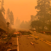 Oregon State University; Oregon State University - Cascades; OSU-Cascades; Science Pub; Wildland fire