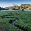 Oregon State University; Oregon State University - Cascades; OSU-Cascades; Science Pub; Science and Policy