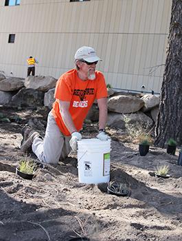 native-plant-replanting-by-prof-ron-reuter