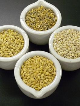 barley