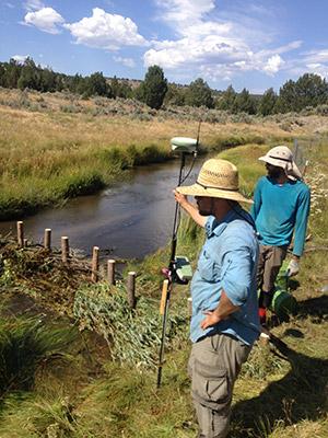 Research teams monitor an artificial beaver dam.