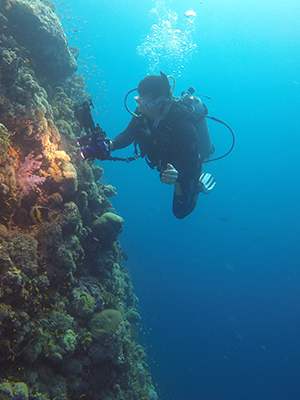 Science Pub, Saving Atlantis, documentary, Vega Thurber Lab