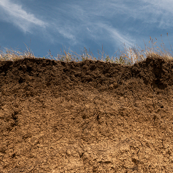Soil and blue sky.