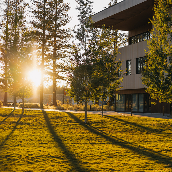 campus sunset through trees