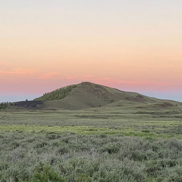 sagebrush steppe landscape at dusk